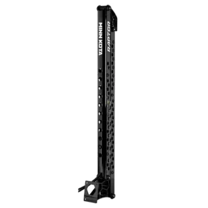 Raptor Shallow Water Anchors 10' Black
